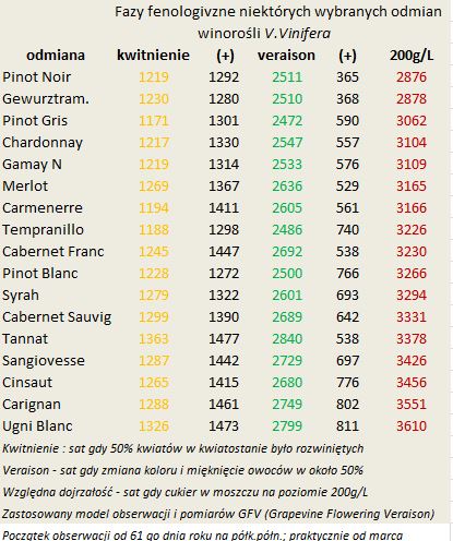 Fazy fenologiczne vinifer.JPG