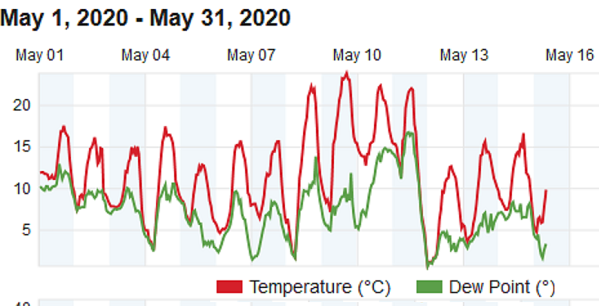 temp.png