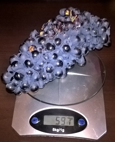 nero 597gr 20200822.jpg