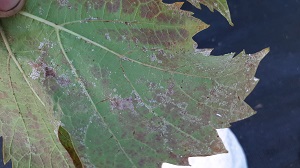 20200920_180047.jpg