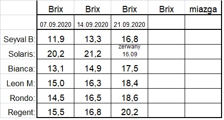 pomiar Brix 21-09-2020.jpg