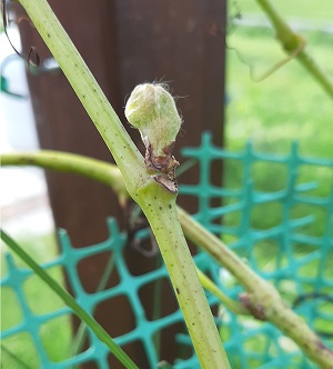 20201003_155246.jpg