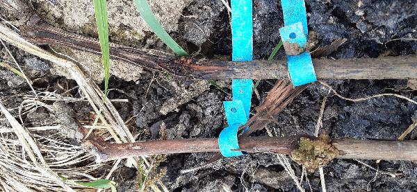 20201006_151802_resize_4.jpg