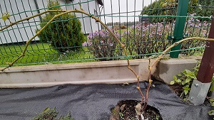 20201014_090813.jpg