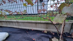 20201014_090837.jpg