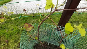 20201014_090911.jpg
