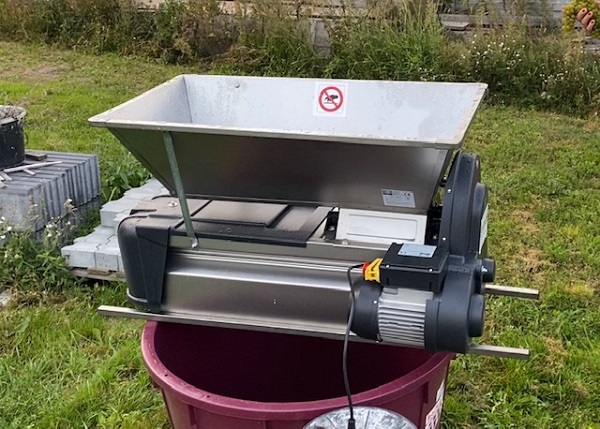 Grifo DMCI.jpg