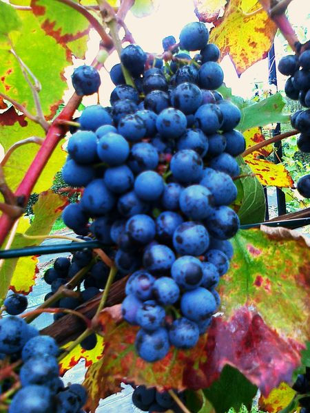 20110920299.jpg