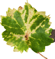 20210718_124435.png