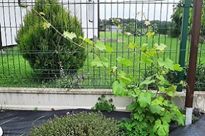 20210720_180319.jpg
