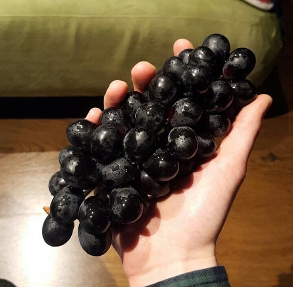 273494368_697895604720356_4703287455331289952_n.jpg