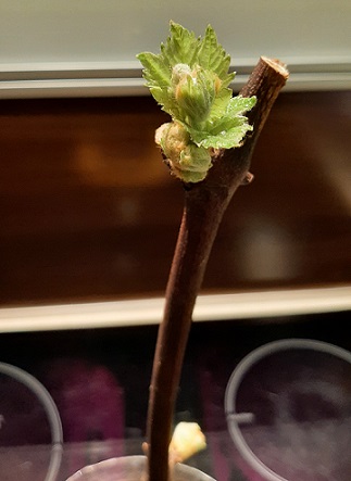 20220129_181710.jpg