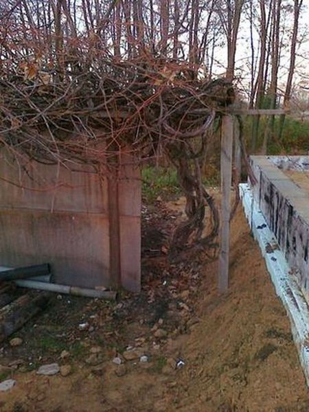 201111101328.jpg
