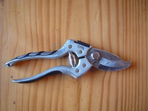 sekator Torq_1.JPG