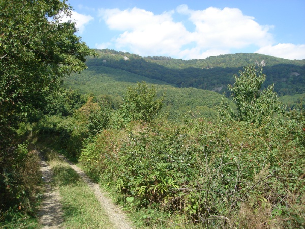 DSC08876.JPG