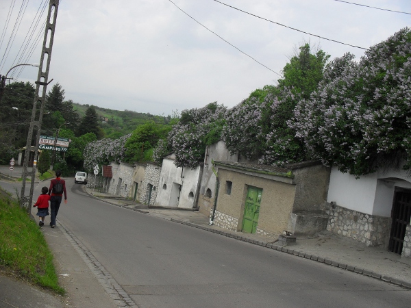 SDC12090.JPG