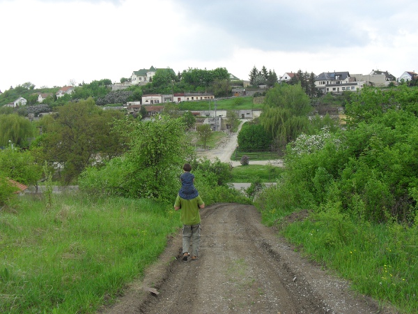 SDC12123.JPG