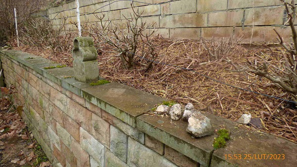 rsz_p1140277.jpg