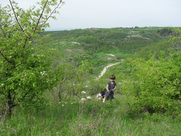 SDC12261.JPG
