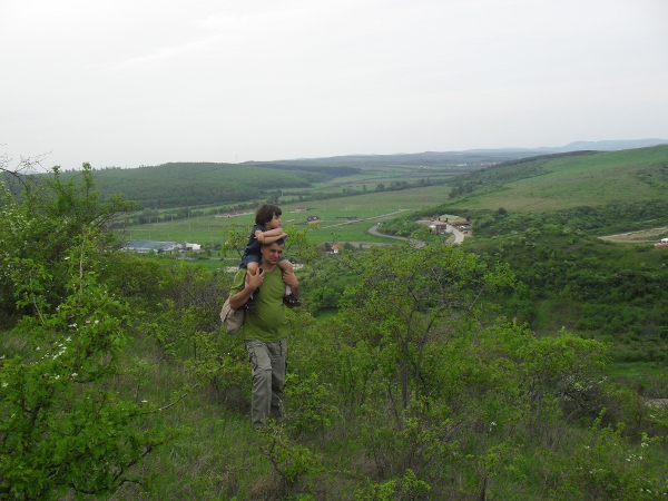 SDC12271.JPG