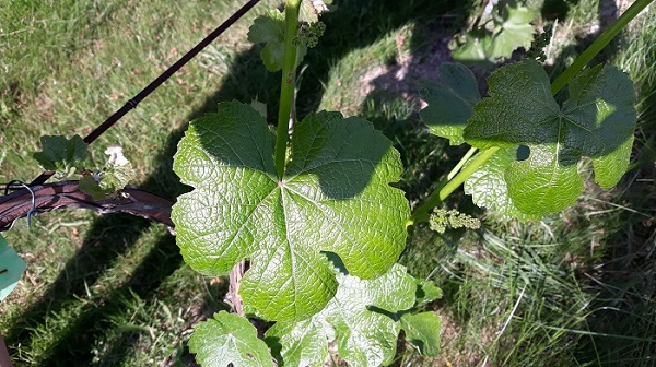 20230601_160158.jpg