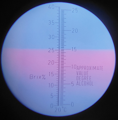 20240824_192939.png