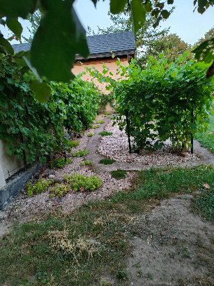 IMG20240829191944.jpg