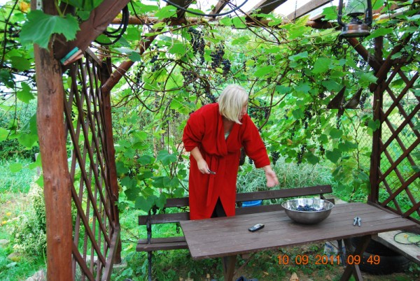 Moja połowa w mojej winnicy.jpg