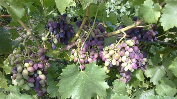 05082012221.jpg