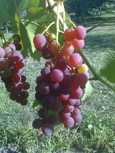 Einset2_14082012 K.jpg