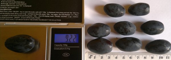 Kodrianka 2012-08-29-374.jpg