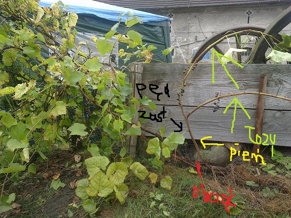 20120908008.jpg