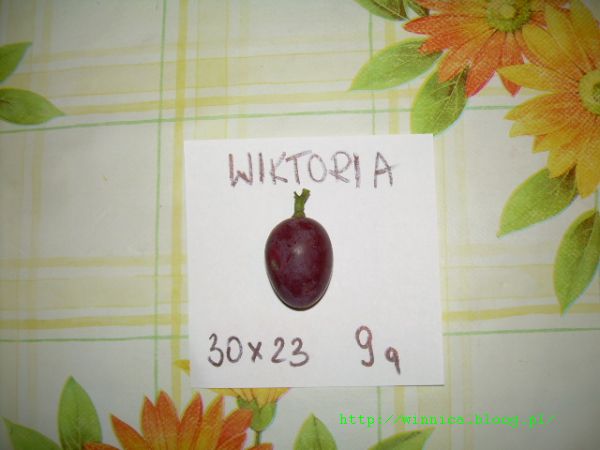 Wiktoria 21.09.2012.jpg