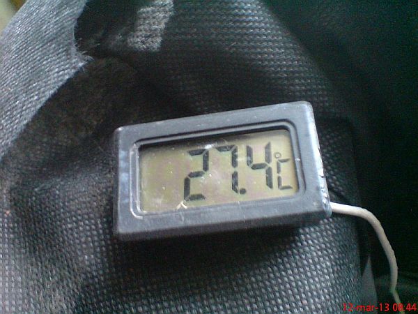 ukorzeniarka 10.JPG