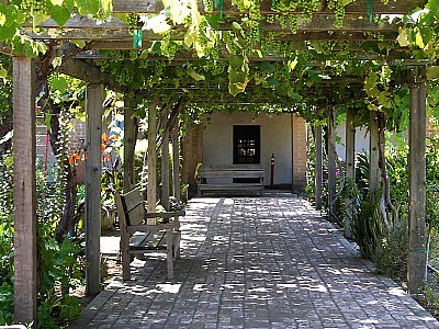 grape-trellis-2.jpg