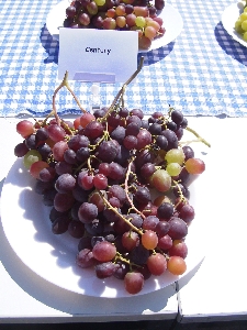 century30.8.07.jpg