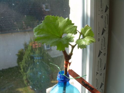 14.04.2012 (2).JPG