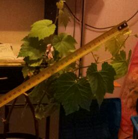 20130420_233752-1.jpg