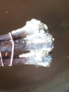 20130429_095406-1.jpg