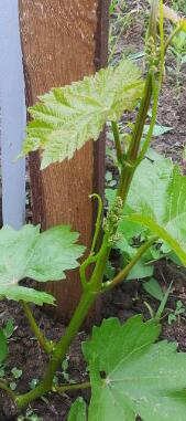 20130525_113244-1.jpg