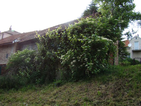 DSC05987.JPG