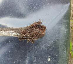 20130616_124941-1.jpg