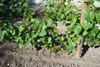 DSC06640.JPG