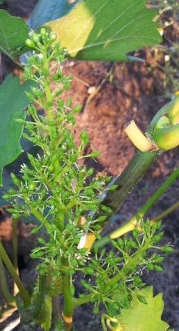 20130627_195303-1.jpg