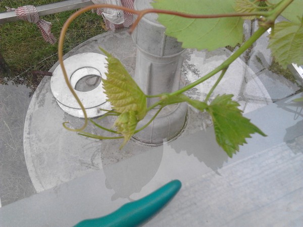 2013-06-30 14.02.10.jpg