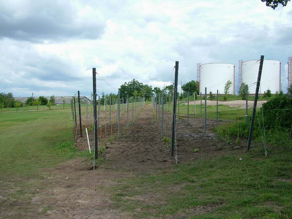 DSCF6219.JPG