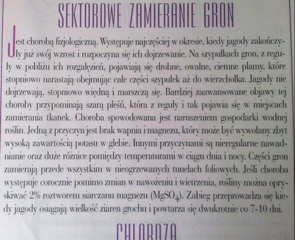 Zdjęcie525.jpg
