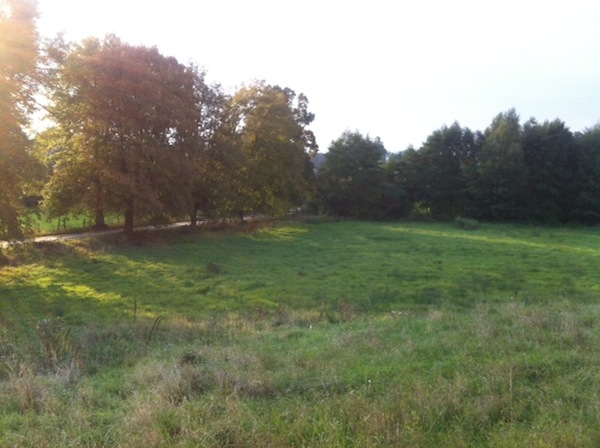 działka 03.JPG