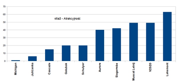 vitia3 - atrakcyjność.jpg