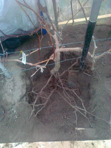 200120141134_1.jpg